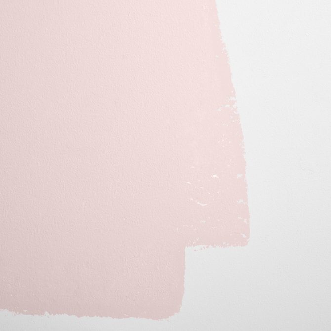 Cabinet & Door Interior Paint by Backdrop - Rose Quartz